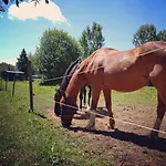 Le Au Pied Des Chevaux Baugé