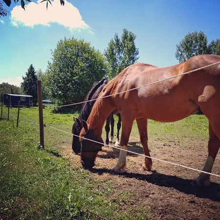 Le Au Pied Des Chevaux Baugé